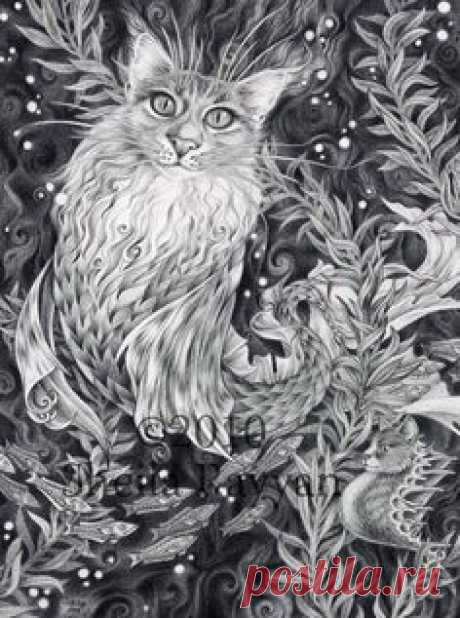 Artist- Illustrator Omar Rayyan