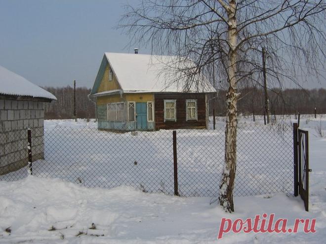 Дачная переделка: как хату на заброшенном участке в лесном заповеднике превратили в уютный дом