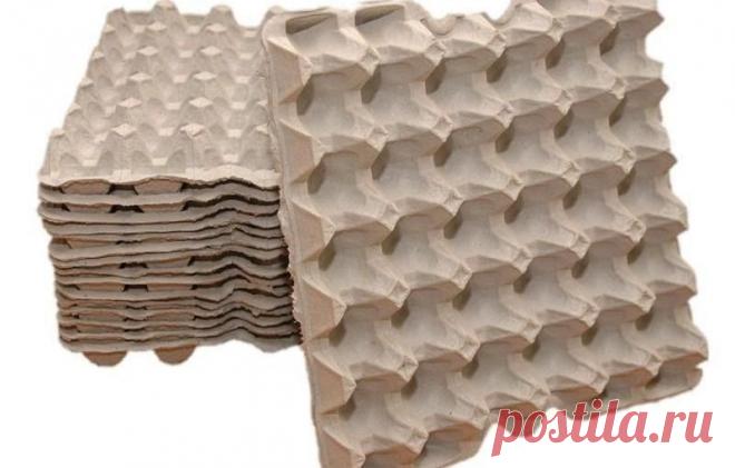 Применение лотков из под яиц в своём огороде Лайфхак