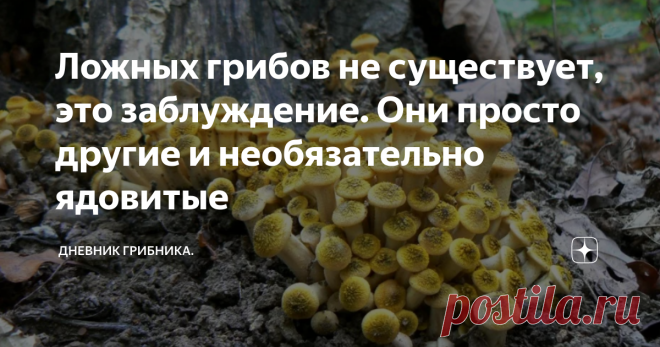 Ложных грибов не существует, это заблуждение. Они просто другие и необязательно ядовитые Кто и когда ввел это понятие - 