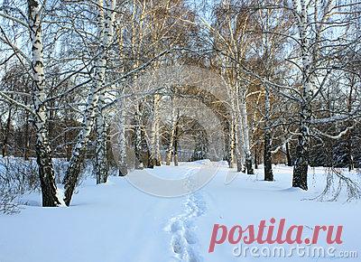 Stock Photos, Royalty-Free Images & Video Footage By Dreamstime Stock Photography