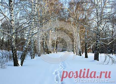 Stock Photos, Royalty-Free Images & Video Footage By Dreamstime Stock Photography