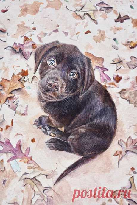 Labrador Retriever Puppy by Gail Dolphin Labrador Retriever Puppy Painting by Gail Dolphin