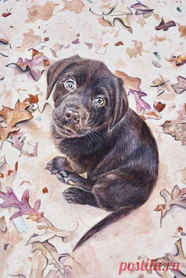 Labrador Retriever Puppy by Gail Dolphin Labrador Retriever Puppy Painting by Gail Dolphin