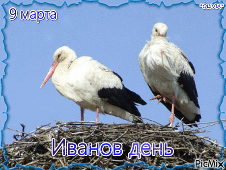 Иванов день, Обретение.