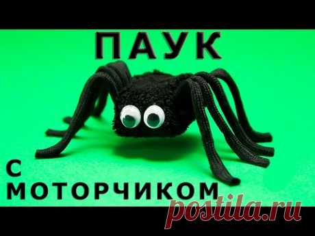 В этом видео, Вы узнаете, как сделать прикольного ПАУКА на батарейках с моторчиком. Робот ПАУК ТАРАНТУЛ на батарейке. Как сделать ПАУКА с моторчиком своими руками. DIY robot spider.
MastakShow - LifeHacks - это лучшие лайфхаки, самоделки, советы и другие интересные и познавательные видео каждую неделю!
