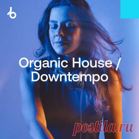Beatport Hype Chart Toppers 2024: Organic House / Downtempo