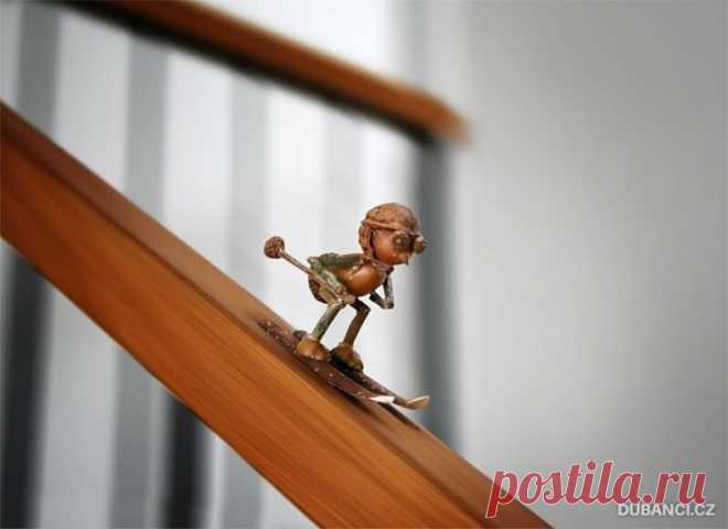 Из жизни желудевых человечков