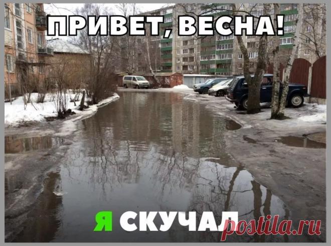Весна, кажется, уже пришла... но это не точно. ПОДБОРКА АНЕКДОТОВ И КАРТИНОК про это прекрасное время года (ЛУЖИ, СТРАННЫЕ ПТИЧЬИ ГНЁЗДА, СУББОТНИК и МАРТОВСКИЕ КОТЫ)  - - -> жми на ПОДРОБНЕЕ - - -> ВК "Юмор не пропьешь" - - -> подписывайся на хорошее настроение!  

Отличный, не пошлый юмор - - -> https://vk.com/club140312334