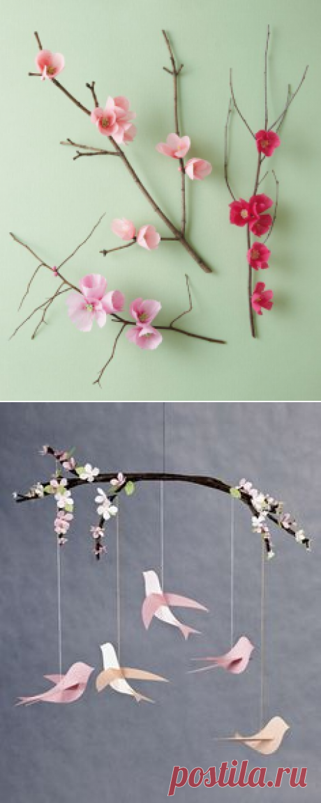 Cherry blossom branches, Cherry blossoms and Blossoms on Pinterest