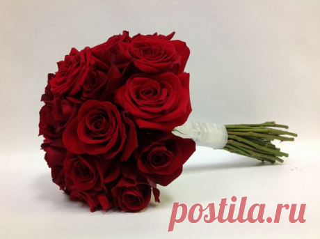 Правила ухода за букетом из роз. Прежде чем опустить букет в вазу с водой, необходимо срезать нижние листья, чтобы они не контактировали с ней. В противном случае вода начнет портиться, что не принесет букету пользы. Стебли цветов рекомендуется срезать под углом и делать это необходимо под водой. Это исключит попадание воздуха внутрь ствола. Для лучшего поглощения воды подрезанный стебель можно аккуратно подрезать на несколько волокон. Воду в вазу следует наливать не из под крана, а хорошо…