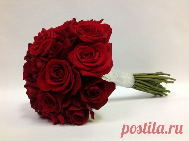 Правила ухода за букетом из роз. Прежде чем опустить букет в вазу с водой, необходимо срезать нижние листья, чтобы они не контактировали с ней. В противном случае вода начнет портиться, что не принесет букету пользы. Стебли цветов рекомендуется срезать под углом и делать это необходимо под водой. Это исключит попадание воздуха внутрь ствола. Для лучшего поглощения воды подрезанный стебель можно аккуратно подрезать на несколько волокон. Воду в вазу следует наливать не из под крана, а хорошо…