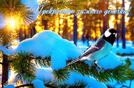 Лучшие открытки в Одноклассники, Вконтакте и Мой Мир отправленные за сутки