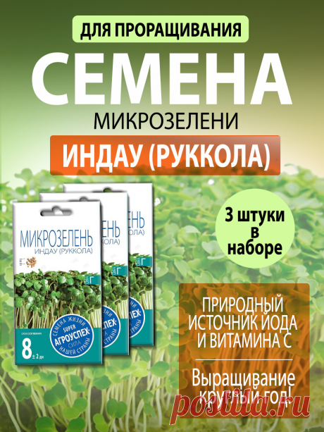 Где брать витамины зимой? Делюсь своими секретами | Движение - это жизнь | Дзен