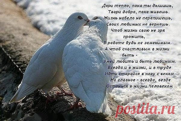 !!!!: Я прощаю всех и всем прощаю. Нет обиды в сердце у меня. Я любовь свою вам завещаю и прошу, простите вы меня. Жизнь хрупка, её вы берегите дважды жить нам здесь не суждено, Нежных слов побольше говорите, отдавая ласку и тепло...