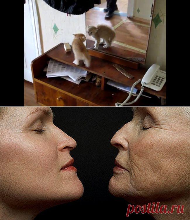 Типы старения кожи лица.