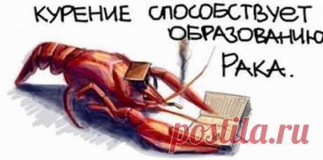 В буквальном смысле слова