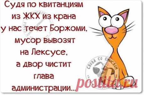 Улыбайтесь! Еще пост метких фраз