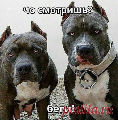 ттт