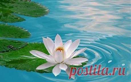 Как шептать на воду?