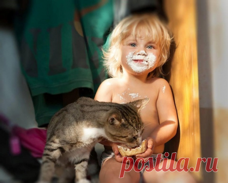 Коты, которые действительно любят детей