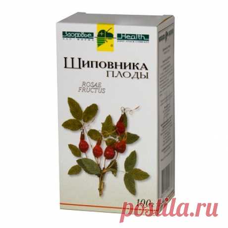 Шиповник для печени: чистка с сорбитом и другие рецепты