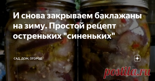 И снова закрываем баклажаны на зиму. Простой рецепт остреньких 