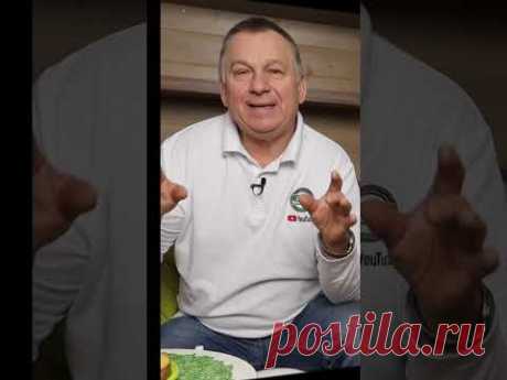 ✅Купить продукцию Эксперт Гарден на Яндекс Маркет https://clck.ru/eBaz2✅Купить продукцию Эксперт Гарден на Wildberries: https://clck.ru/hUzuc✅Купить книгу "3...