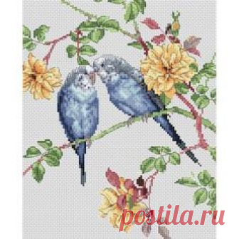 The Natural World Budgie Love Counted Cross Stitch Kit-7.8