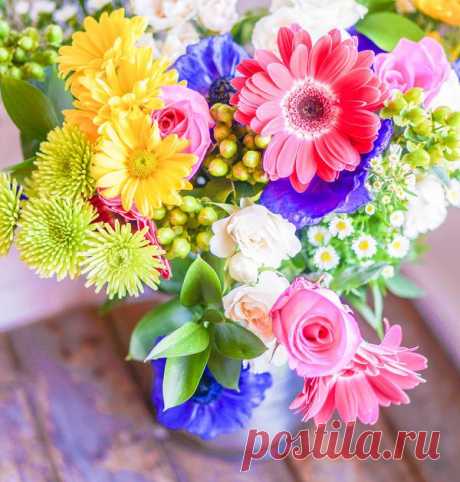 15 лучших цветов для срезки / Цветы / 7dach.ru