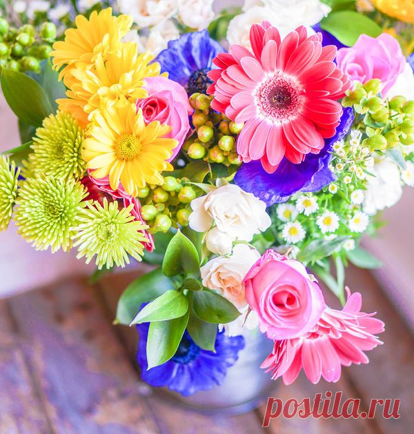 15 лучших цветов для срезки / Цветы / 7dach.ru