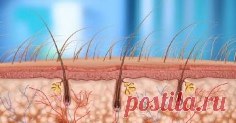 Эти 6 витаминов жизненно необходимы для волос! Только устранив их дефицит, вы остановите выпадение волос! - Страница 3 из 3 5. Фолиевая кислота: Это еще один чудесный компонент группы витамина В. Этот витамин играет важную роль в том, чтобы наши волосы были более густыми и яркими, одновременно увеличивая блеск. А также помогает в борьбе против седины. Любой из источников, которые обеспечивает витамины группы B, также будет содержать фолиевую кислоту в качестве основного ко...