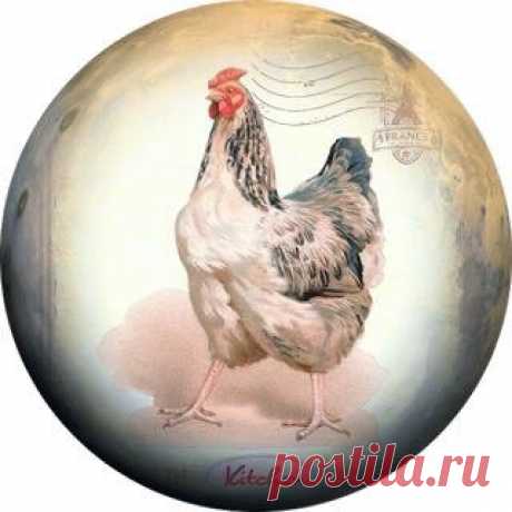 Диана Январева