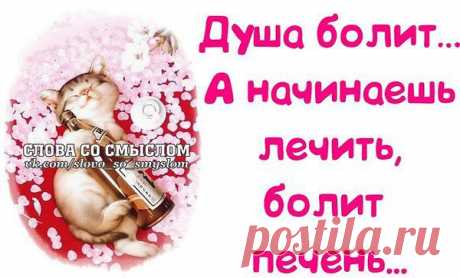 Антонина: ЖИВУ, ЦВЕТУ и ХОРОШЕЮ! О том, что было — не жалею! О том, что будет — не гадаю! А то, что есть — я обожаю!!!