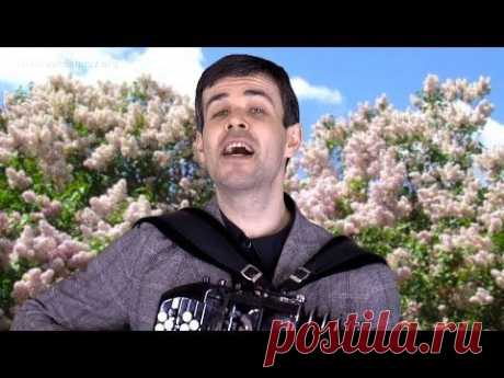 &quot;Одинокая ветка сирени&quot; под баян (весенняя песня)