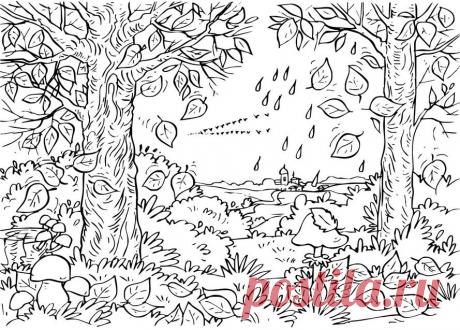 Осень картинки для детей раскраски