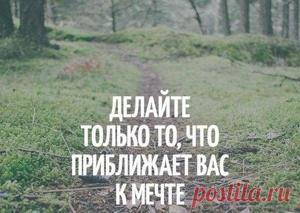 Мечтайте, ищите тропинки...  Юлия Шашева
