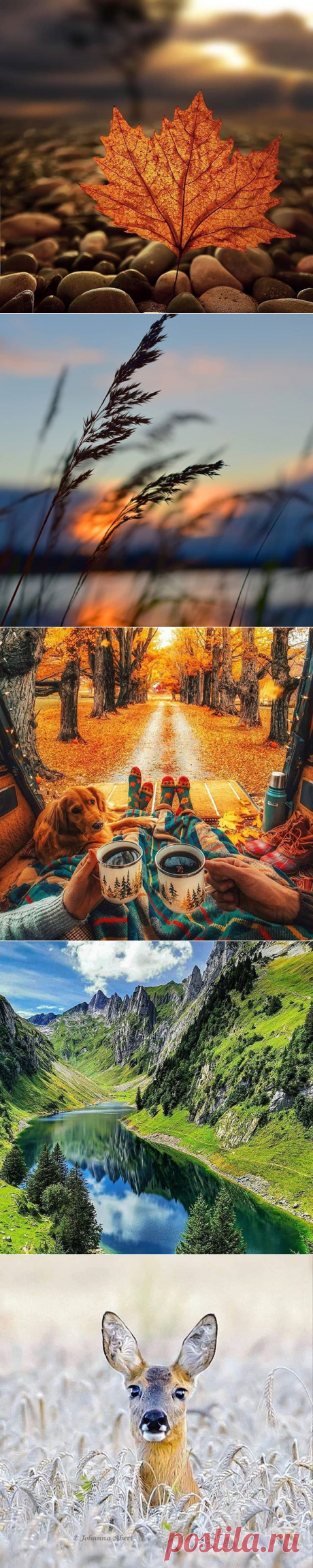 @ig_myshots • Фото и видео в Instagram