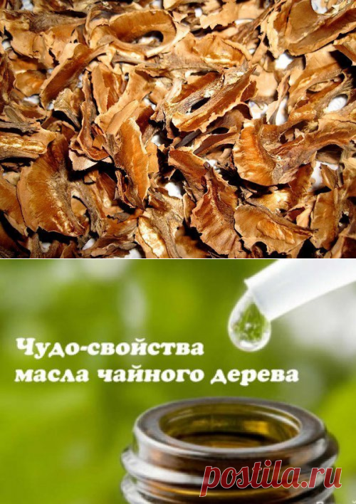 Народная медицина | Записи в рубрике Народная медицина | Дневник Вероника