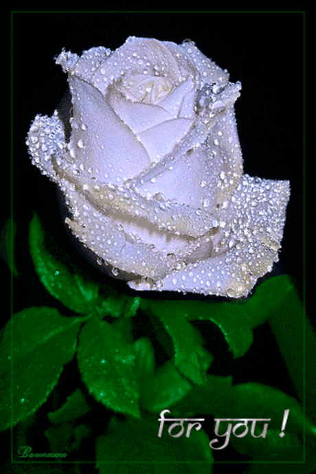 tumblr_ocztwdsgtf1vzio5po1_400.gif (320×480)