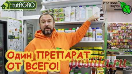 Иван Русских | ОТ ЧЕРНОЙ НОЖКИ, ФИТОФТОРЫ, РЖАВЧИНЫ И... СЛИЗНЕЙ - ОДИН ЕДИНСТВЕННЫЙ ПРЕПАРАТ! Один на все случаи жизни: от дезинфекции теплицы до парши!