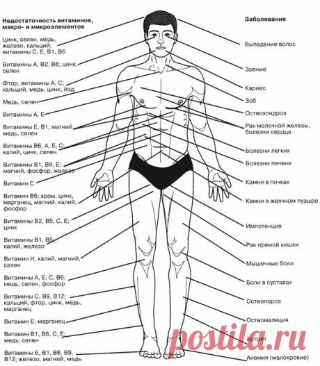 Из этой таблицы видно, какие заболевания, возникают в связи с недостаточностью витаминов.