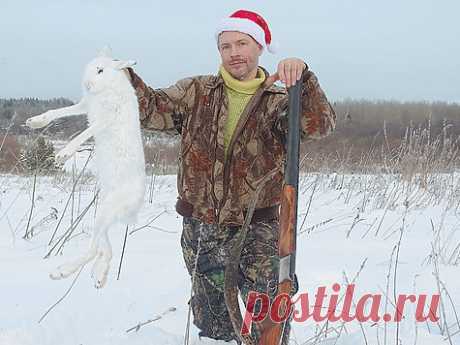 Как мы тропим беляков Тропите беляка, изучайте биологию, хитрости, тонкости, и с уверенностью можно сказать, что это охота имеет место быть. Она азартна, энергична, эмоциональна и, что немаловажно, результативна. В заснеженной, замороженной глубинке Вологодчины достойных альтернатив такой охоте нет!