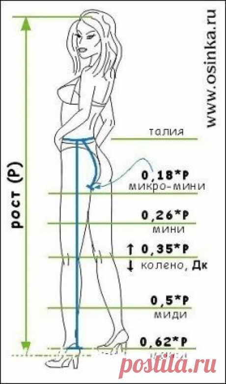 РАСЧЕТ ДЛИНЫ ЮБКИ 
 
При одном и том же покрое, именно от длины юбки будет зависеть ее восприятие, а подчас и степень приемлемости в обществе. 
 
Ниже приведенные формулы разработаны на основе Золотого сечения и позволяют создавать модели поясной группы, идеально подходящие вам (или вашей клиентке) по пропорциям. 
 
- Микро - мини. Это длина, когда трусиков еще не видно, но ноги доступны взору полностью. От линии талии опуститесь сантиметром по ягодицам до упора в ногу. Это и есть самая минималь