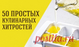 Гид по кухне и готовке