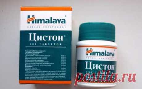 Цистон: инструкция по применению, цена, отзывы, аналоги
