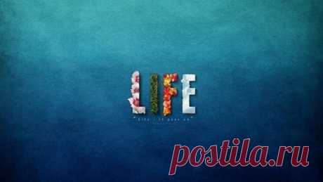 Советы на жизнь
Здоровье:
1. Пейте много воды.
2. Завтракайте по королевски, обедайте, как принц и ужинайте, как нищий.
3. Ешьте больше продуктов растительного происхождения и ешьте меньше пищи, которая производится на заводах.
4. Больше играйте в игры.
5. Прочитайте больше книг, чем в 2011 году.
6. Посидите в тишине, по крайней мере 10 минут каждый день.
7. Сон — 7 часов.
8. 10-30 минут ходьбы в день. Во время ходьбы, улыбаться.
О личности:
1. Не сравнивайте свою жизнь с жизнью других. Вы п