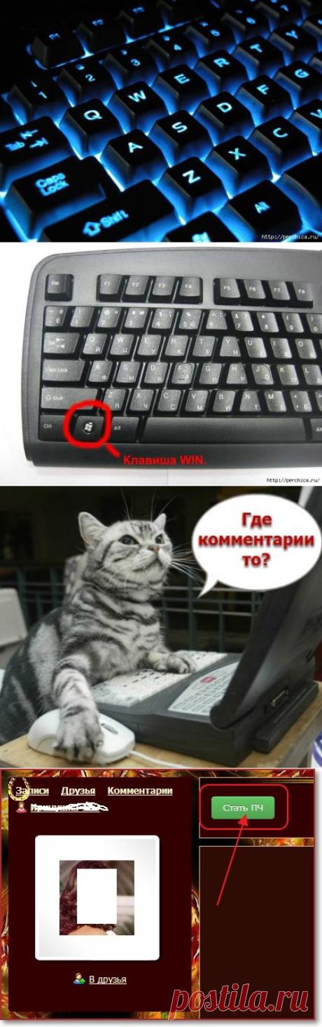 УЧЕБНИК ДЛЯ НОВИЧКОВ | Записи в рубрике УЧЕБНИК ДЛЯ НОВИЧКОВ | Всё самое модное, интересное и вкусное вы найдёте у perchica