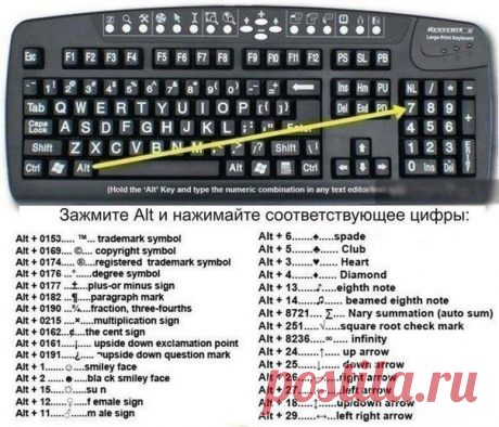 Сочетание клавиш