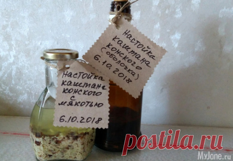 Лечебная настойка из каштана конского - здоровье, настойки, каштаны, лечение, рецепт настойки, конский каштан